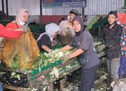 SAMPAH PASAR CARINGIN DIOLAH JADI CUAN, ADA BRIKET, PAKAN TERNAK DAN BBM