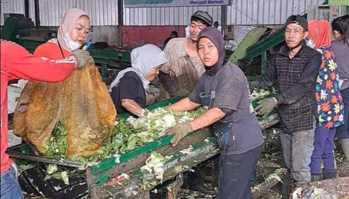 SAMPAH PASAR CARINGIN DIOLAH JADI CUAN, ADA BRIKET, PAKAN TERNAK DAN BBM