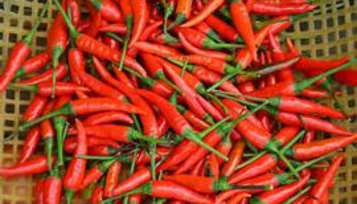 10 Hari Jelang Lebaran, Harga Komoditas Pengan Alami Kenaikan, Cabe Rawit dan Daging Ayam Relatif Tinggi